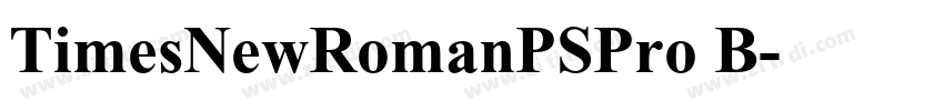TimesNewRomanPSPro B字体转换